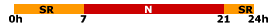 franja72124.gif (700 bytes)